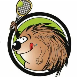 Ranking ATPI Porco Spin 2020