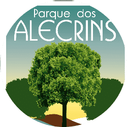 6° Torneio Parque dos Alecrins 2026 II - FEMININA OURO