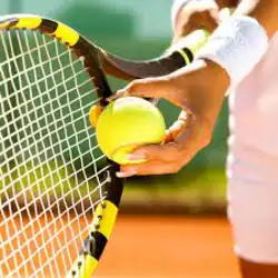 Living Wish Lapa Ranking/2024 -  A