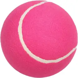 1º Torneio Rosa Tati Porto - Limão Tênis