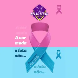 DESAFIO INTERNO BELAS E FERAS MISTO NOVEMBRO AZUL  - MISTA D/C