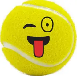 1º Torneio Amigos do Tênis  - Masculino