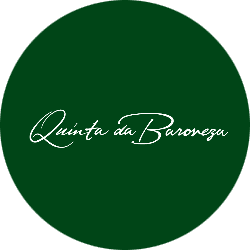 2° Julius Baer Open Beach Tennis 2024 - Feminino Avançado
