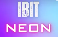 Ibit Neon LIVE! - Intermediário Feminino