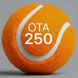 OVERHEAD TENNIS ACADEMY - Single, Doubles and Mixed Tennis Tournaments - Round 2/6 - 2024/25 - OTA 250 - Single Gentleman Tennis Tournament 
