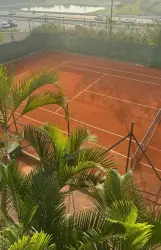 Ranking Clima Bothânico 