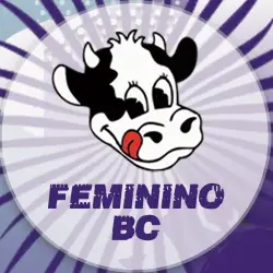 1º Play Feminino Kar Frios - Feminino BC