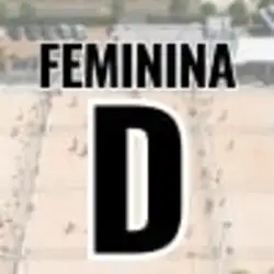 Copa Castro Assessoria Contábil Play Beach Tennis - Julho 2025 - Copa Play Beach Tennis - Feminina D
