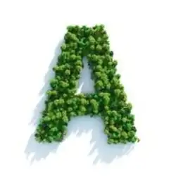 2º TORNEIO DE TÊNIS SPAZIO VERDE - Categoria A