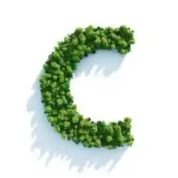 2º TORNEIO DE TÊNIS SPAZIO VERDE - Categoria C