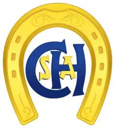 CHSA OPEN 2026 - Clube Hípico de Santo Amaro  - 4M