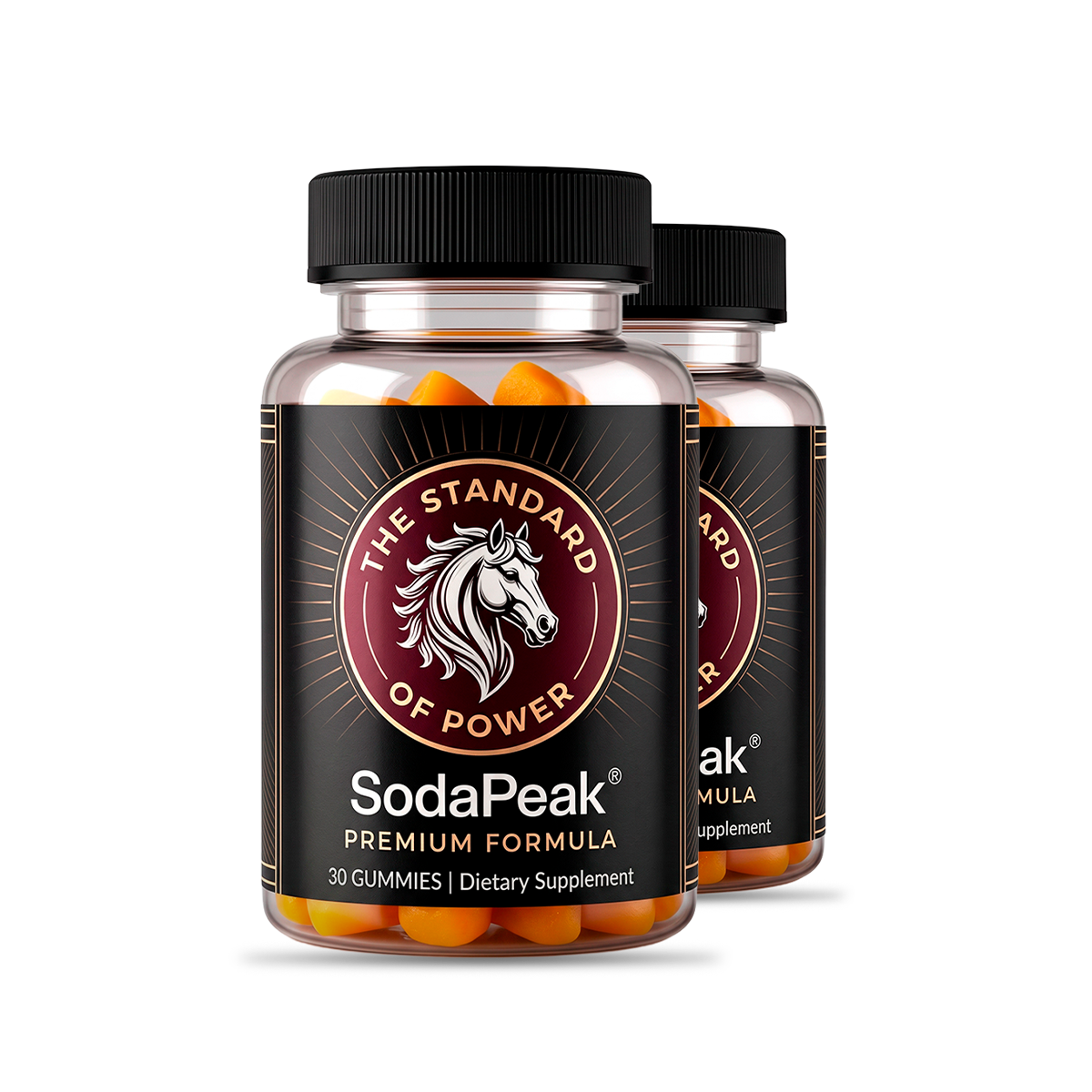 SodaPeak 2 Bottles