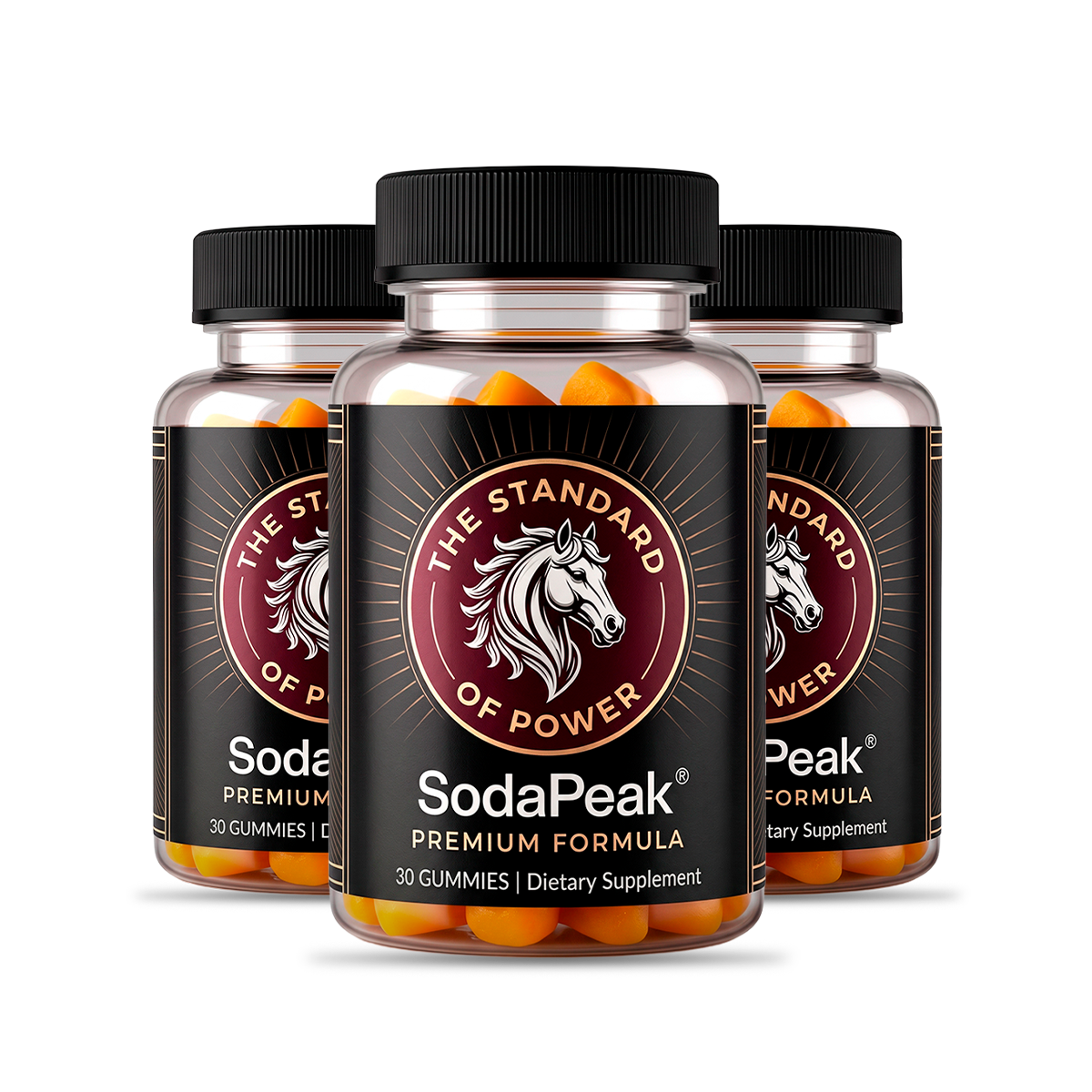 SodaPeak 3 Bottles