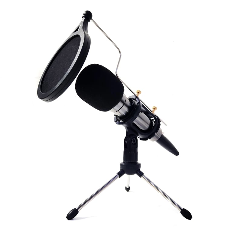 Professional Microphone On Stand With Echo Cover