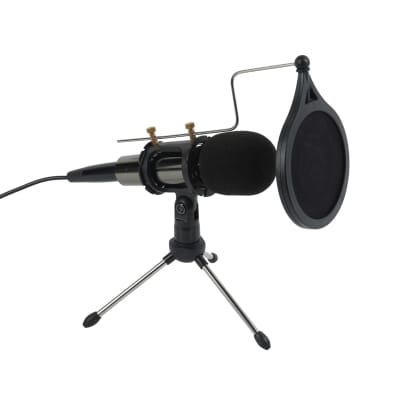 Microphone