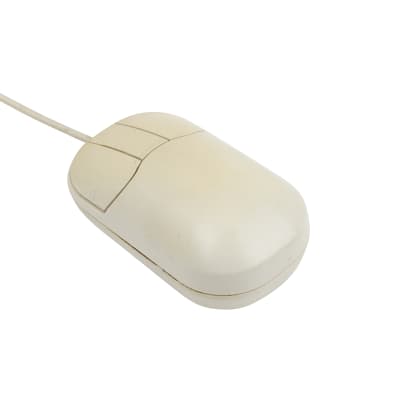 Beige period mouse