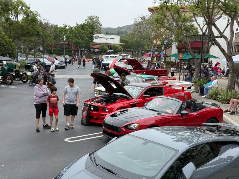 Photo 30 from June 2025