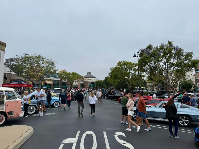 Photo 43 from June 2025