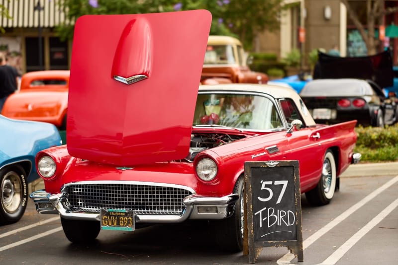 Photo 11 from Father's Day Show — June 2026