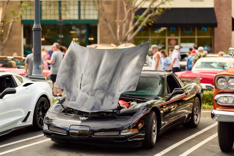 Photo 15 from Father's Day Show — June 2026