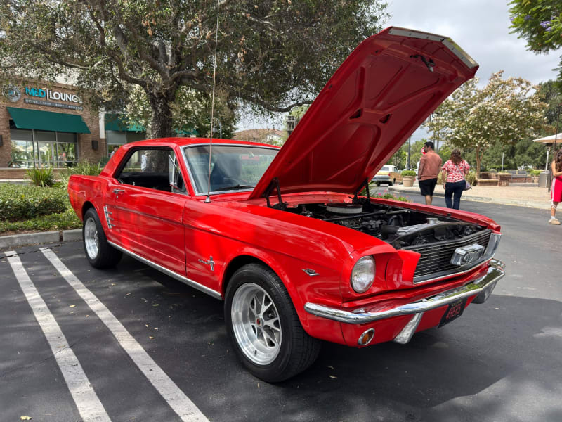 Photo 26 from Father's Day Show — June 2026