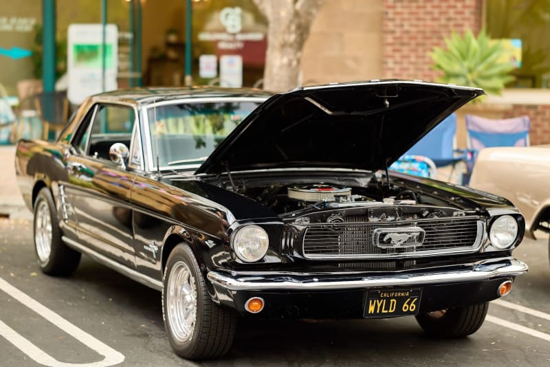 Photo 33 from Father's Day Show — June 2026