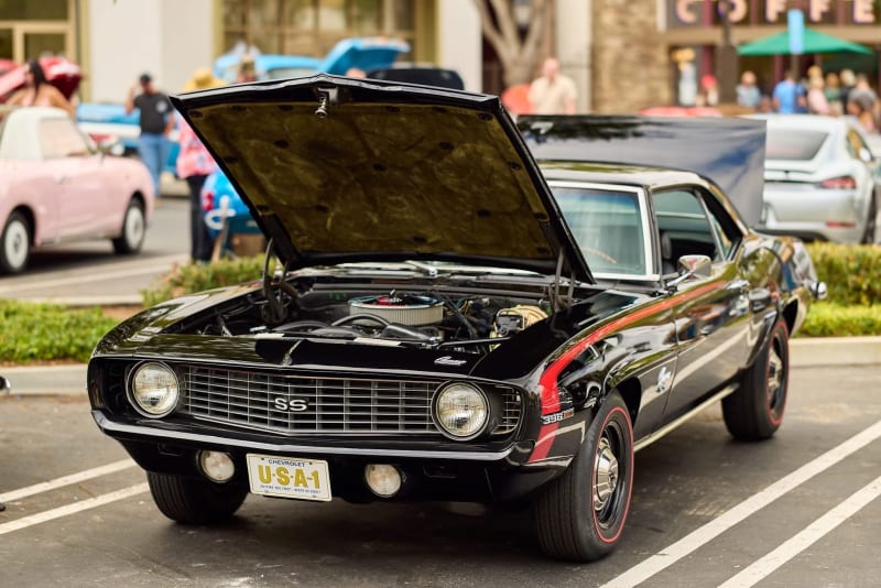 Photo 49 from Father's Day Show — June 2026
