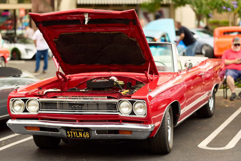 Photo 71 from Father's Day Show — June 2026