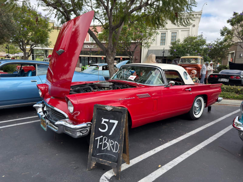 Photo 83 from Father's Day Show — June 2026