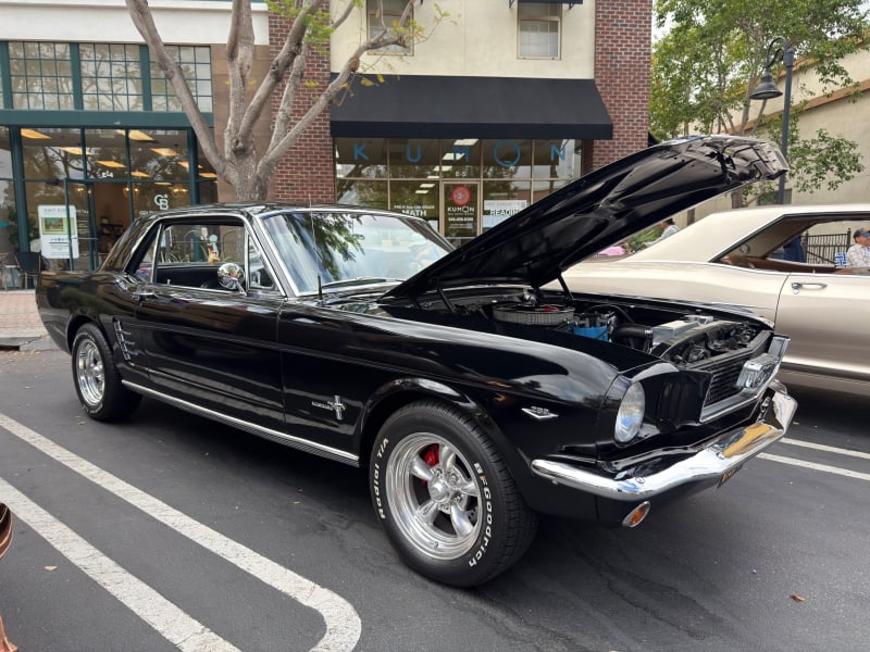 Photo 110 from Father's Day Show — June 2026