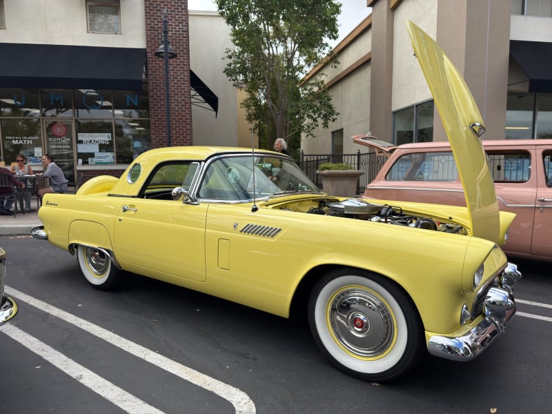 Photo 114 from Father's Day Show — June 2026
