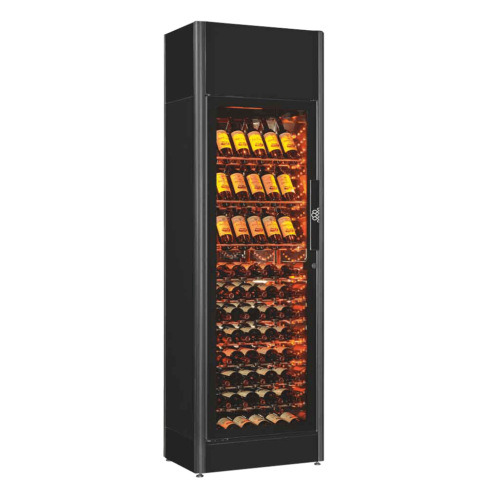 Professional ShowCave (Enkeldörr)