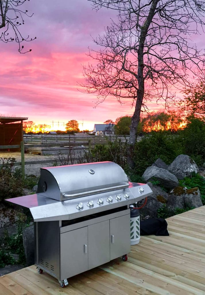 Barbecue à gaz indépendant avec 6 brûleurs et un brûleur d’appoint 