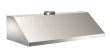 Fläkt Professional 100 cm