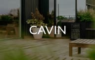 Cavin