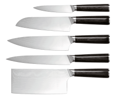 Messerset 5-teilig 