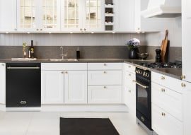 Hvitevarepakke - Lofra Dolce Vita 60 cm (Komfyr + Oppvaskmaskin + Kjøleskap + Vifte + Veggbeskyttelse) Gas