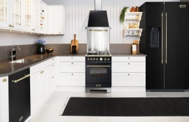 Kjøkkenpakke - Lofra Dolce Vita 60 cm (Komfyr + Oppvaskmaskin + Kjøleskap + Vifte + Veggbeskyttelse) Induktion