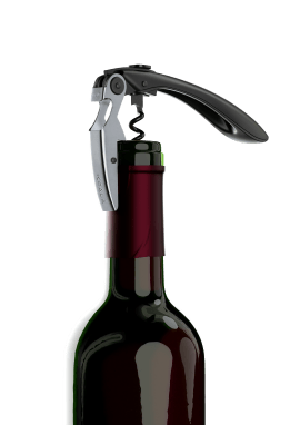 big-tech-proptr-kker-i-gave-ske-sort