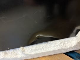 outlet-olkoleskab-til-indbygning-beerserver-60-anthracite-black