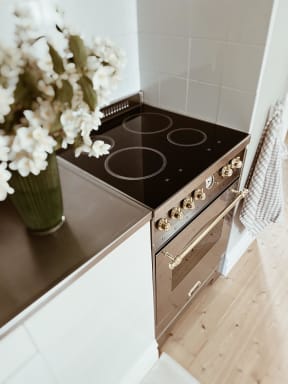 dolce-vita-induktionsherd-60-cm-1-backofen-edelstahl-messing