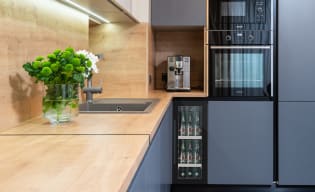 Frigoriferi birra e bibite incasso