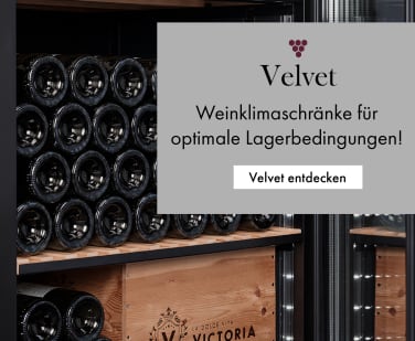 Velvet Collection velvet-collection.jpg