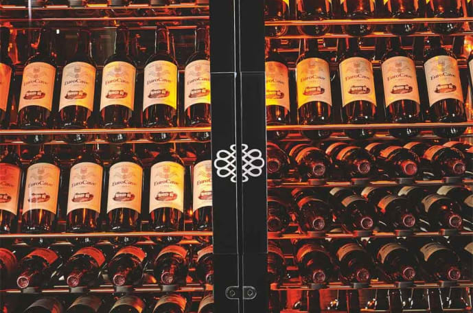 professional-showcave-dubbeldorr