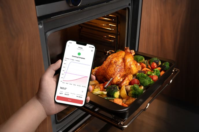 sync-one-draadloze-vleesthermometer