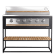 Free-standing Gas grill