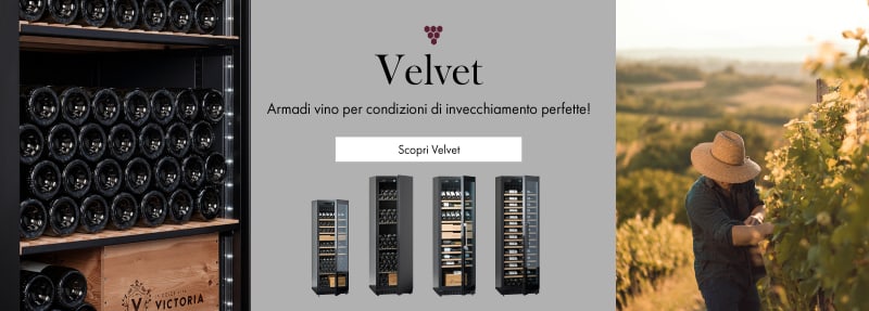 Velvet velvet.jpg