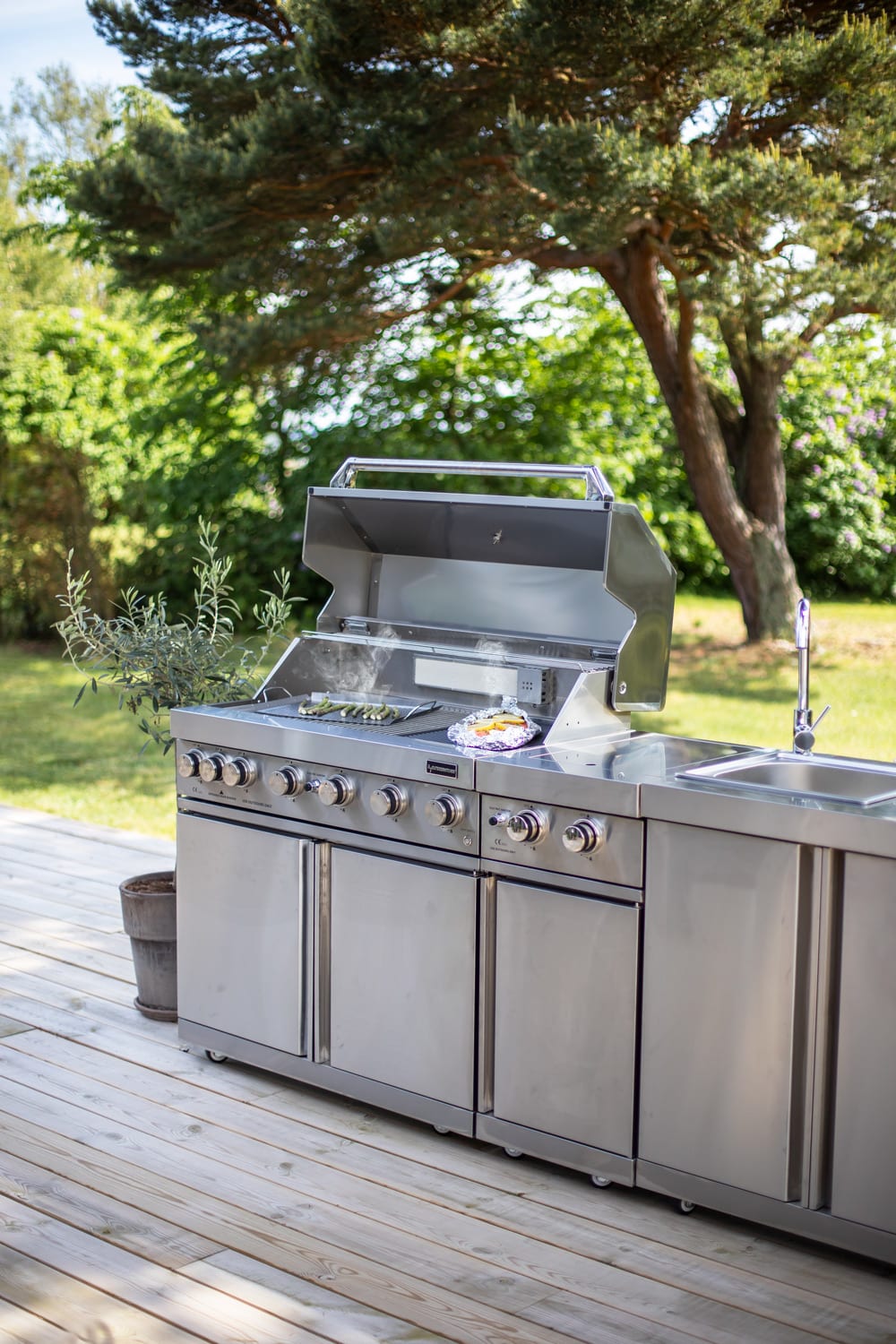Stainless steel store gas bbq
