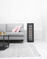 freistehender-thermoelektrischer-weinkuhlschrank-northern-collection-14-black