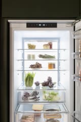 70-cm-helintegrerad-kyl-frys-193-cm-hog-door-on-door-ref704bbnptc